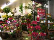 「ふろーりすと・しゅうかえん」　（埼玉県川口市）の花屋店舗写真2